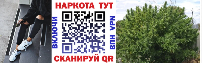 Где купить наркоту Дегтярск Канабис  ОМГ ОМГ онион  Cocaine  Гашиш  Меф мяу мяу  APVP 