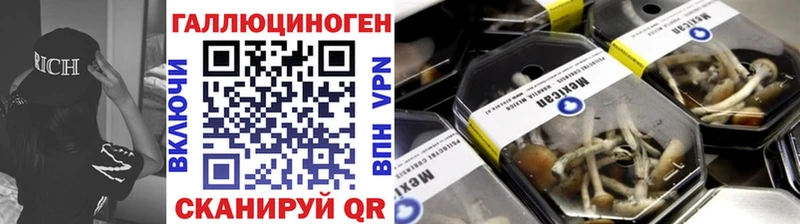 Псилоцибиновые грибы Cubensis Дегтярск